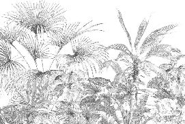 Papier peint tropical gravure monochrome