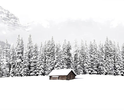 Papier peint panoramique chalet en montagne, XXL, tendance