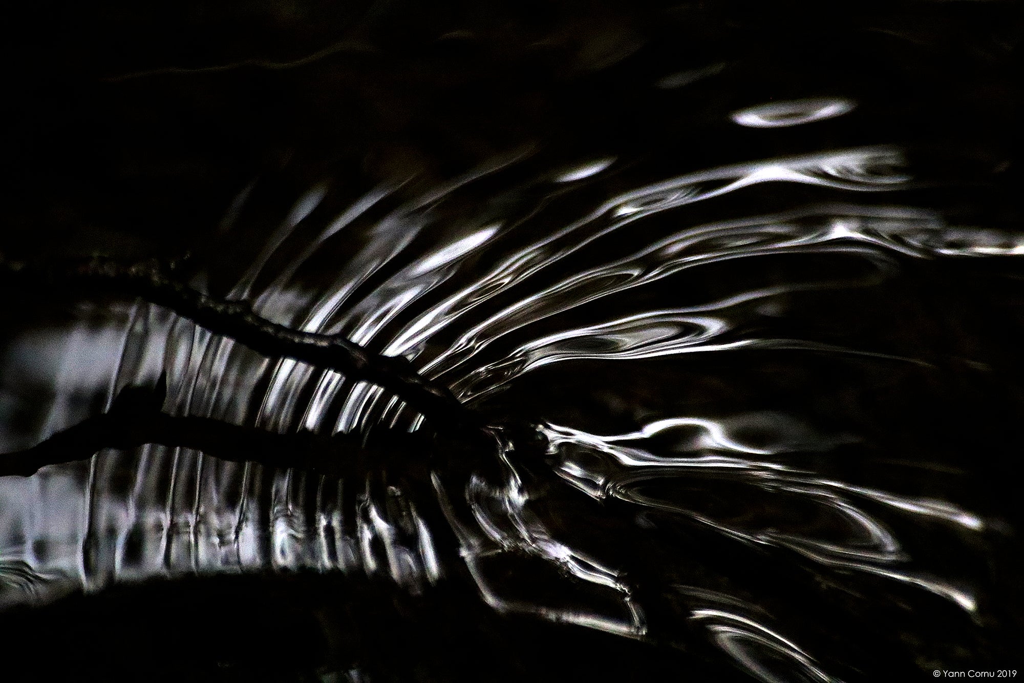 Papel pintado en el corazón del agua