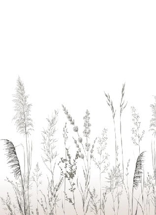 Papel pintado poético pampa