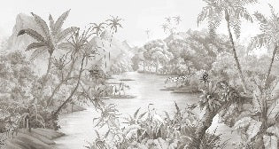 Pintoresco fondo de pantalla panorámico de la selva