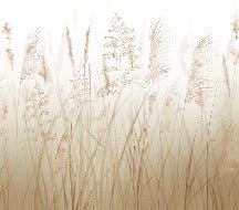 Papier peint fleur des champs de blé, XXL, tendance