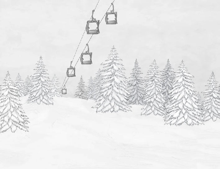 Papel pintado blanco y negro góndola montaña