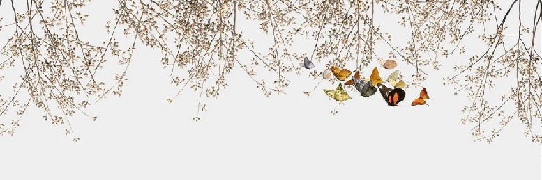 Papel pintado salón rama y mariposa
