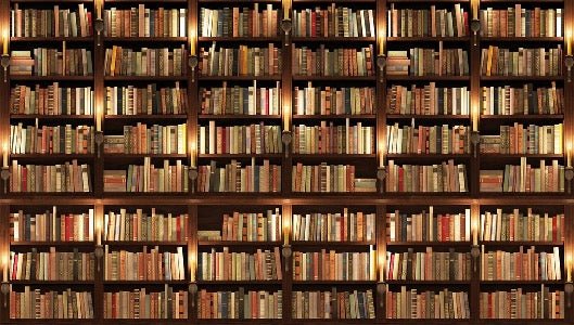 Papel pintado trampantojo Authentique Bibliothèque