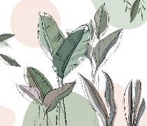 Papier peint panoramique végétal graphique vert, XXL, tendance