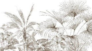 Papier peint tropical gravure monochrome, XXL, tendance