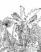 Fondo de pantalla de baño de hoja botánica en blanco y negro