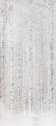 Papel pintado Envolvente bosque de abedules
