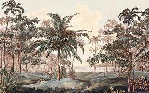 Papel pintado paisaje Célèbes terra