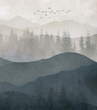 Papier peint panorama nature noir et blanc, XXL, tendance