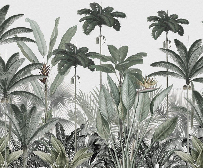 Papel pintado Árbol de la selva panorámico