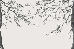 Papel pintado panorámico de flores en blanco y negro Sakura
