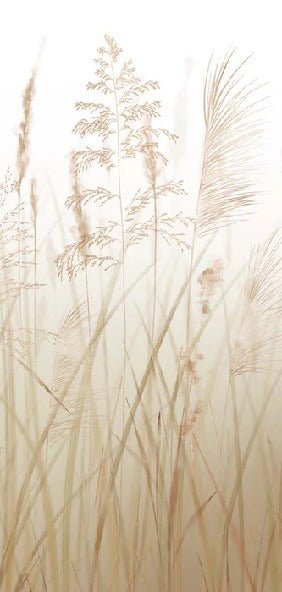 Papier peint fleur des champs de blé, XXL, tendance