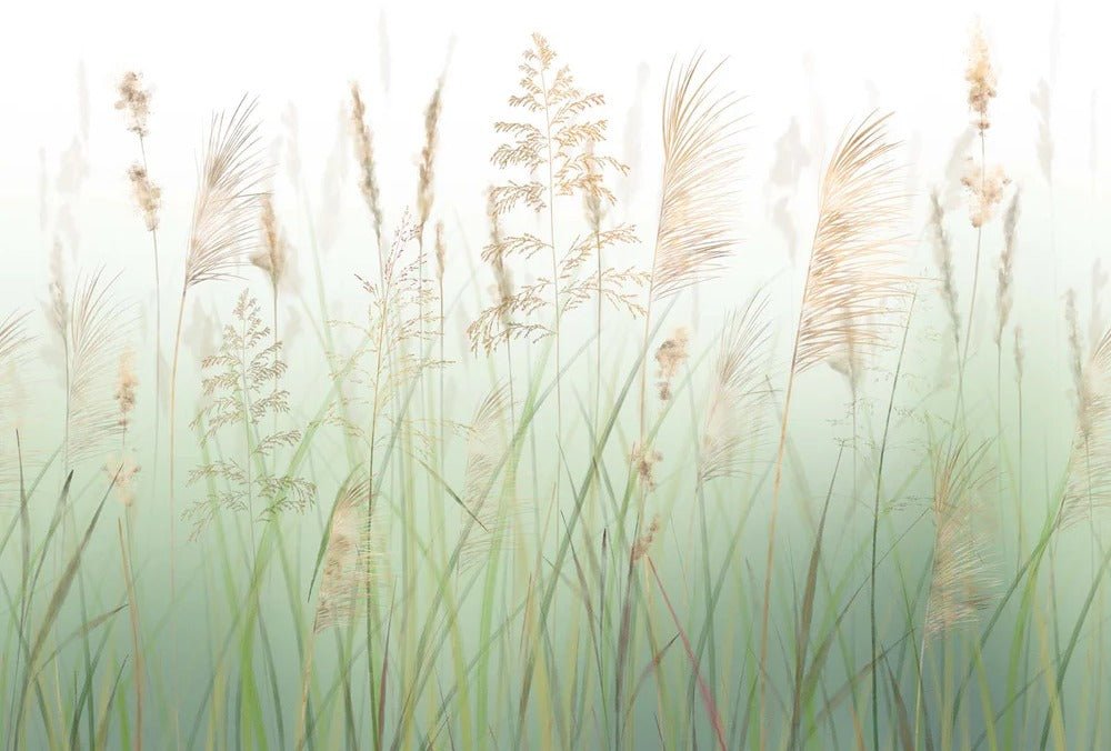 Fondo de flores de campo de trigo verde