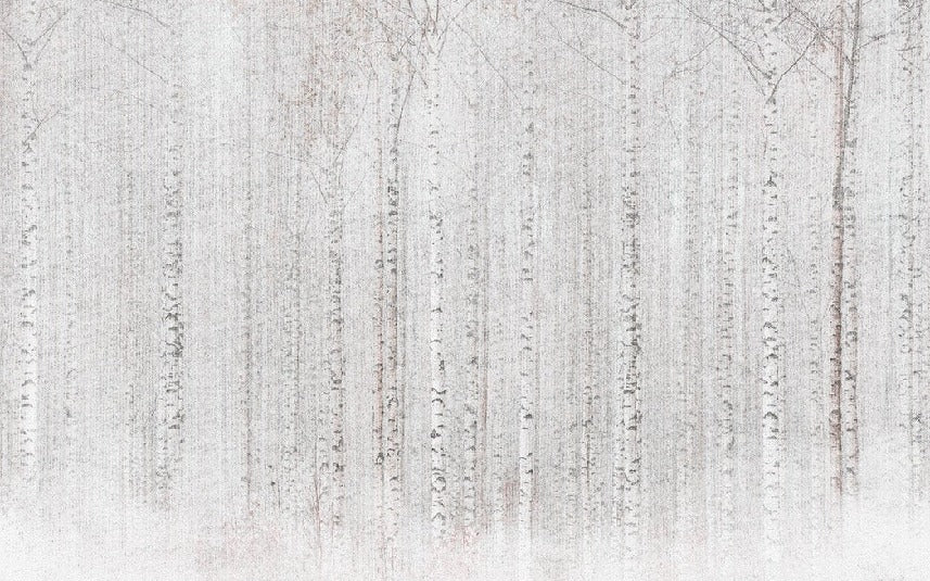 Papel pintado Envolvente bosque de abedules