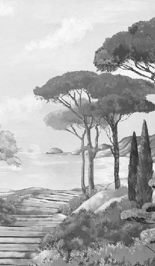 Papier peint balade dans les calanques noir et blanc, XXL, tendance