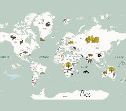 Papier peint Carte du monde en Francais enfant vert, XXL, tendance