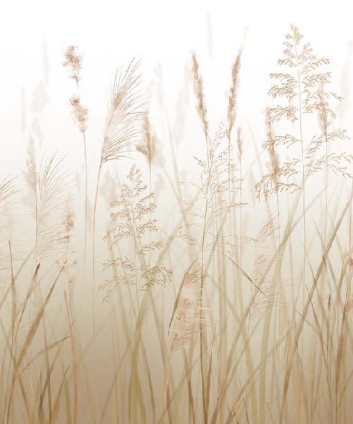 Papier peint fleur des champs de blé, XXL, tendance