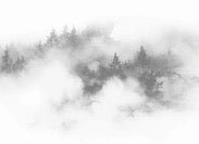Papel pintado Niebla gris de las cumbres