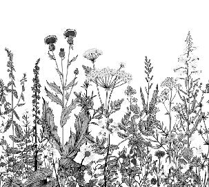 Papel pintado folclórico botánico en blanco y negro