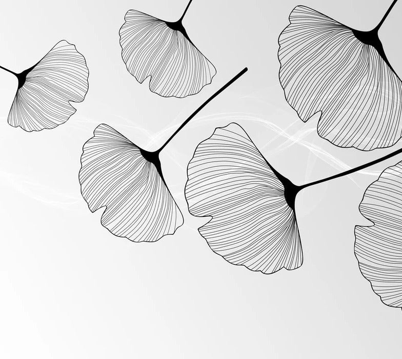 Papier peint panoramique tendance ginkgo noir, XXL, tendance