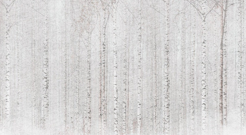 Papel pintado Envolvente bosque de abedules
