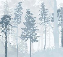 Papier peint panoramique forêt bleu scandinave, XXL, tendance