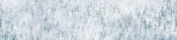 Papier peint forêt brumeuse Alpine design, XXL, tendance