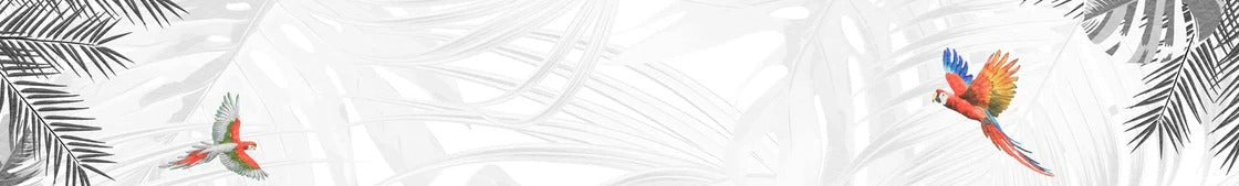 Papel pintado Ave del paraíso en blanco y negro