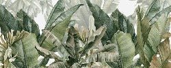 Papel pintado panorámico Plátano verde