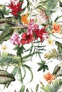 Papier peint tropical & Fleurs colorées, XXL, tendance