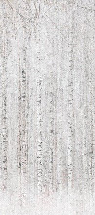 Papel pintado Envolvente bosque de abedules