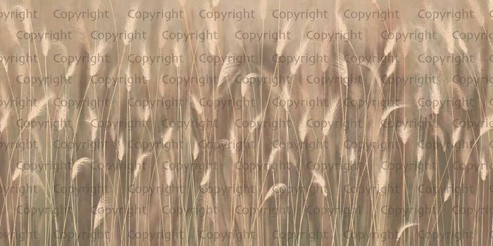 Papel pintado Beige panorámico hierba salvaje