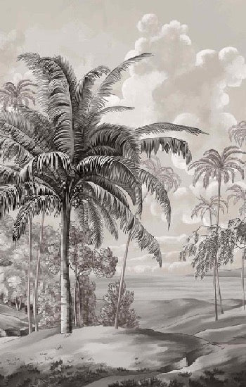 Papier peint paysage Célèbes noir et blanc, XXL, tendance