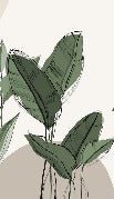 Papel pintado vegetal panorámico gráfico de color topo