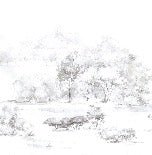 Papier peint forêt de pin aquarelle, XXL, tendance