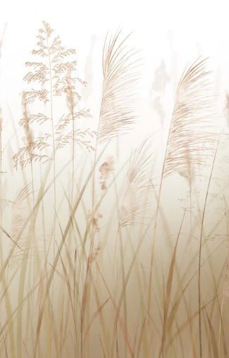 Fondo de flores de campo de trigo