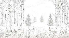 Papier peint noir et blanc douceur des bois