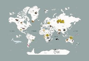 Papier peint Carte du monde en Francais enfant gris
