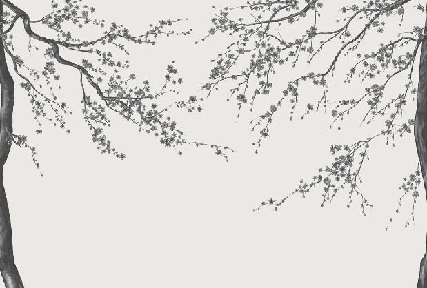 Papier peint panoramique fleur Sakura noir et blanc