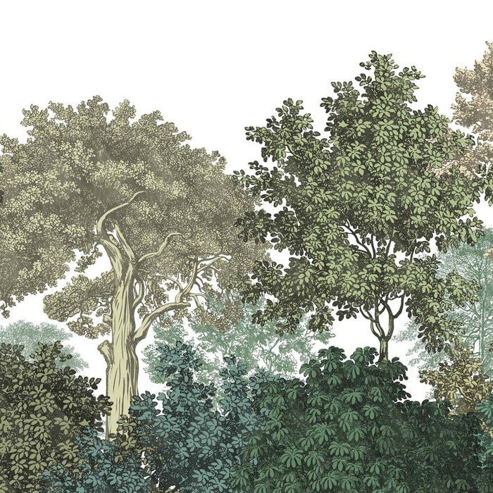 Papel pintado paisaje bosque grabado