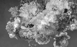Papier peint fleur pivoine noir et blanc, XXL, tendance