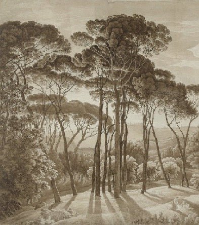 Papier peint panoramique paysage italien ambré