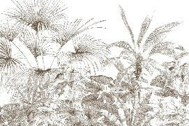 Papier peint tropical gravure monochrome