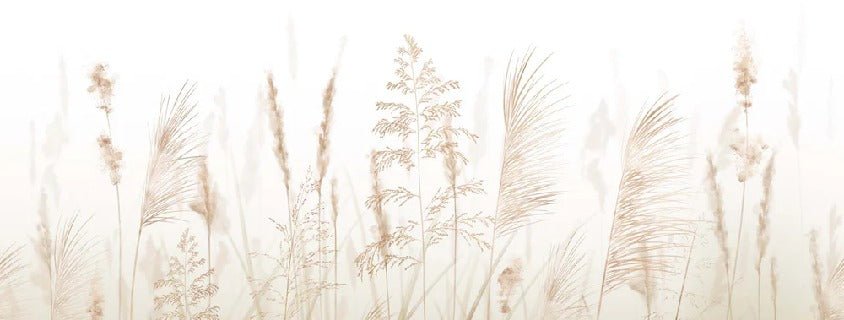 Fondo de flores de campo de trigo