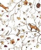 Fondos de aventuras infantiles en el bosque