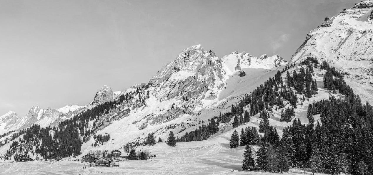Papier peint panoramique chalet alpage, XXL, tendance