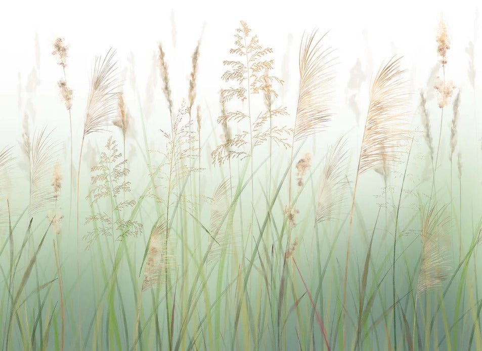 Fondo de flores de campo de trigo verde