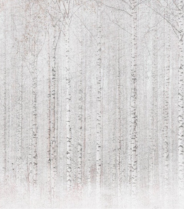 Papel pintado Envolvente bosque de abedules